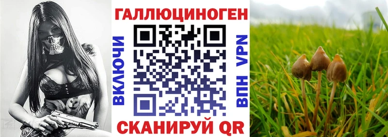 kraken ONION  Жирновск  Псилоцибиновые грибы Psilocybine cubensis 
